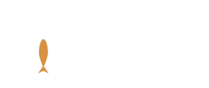 Fish.in — Agência de Marketing